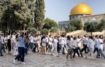 780 انتهاكًا إسرائيليًّا في القدس خلال فبراير الماضي