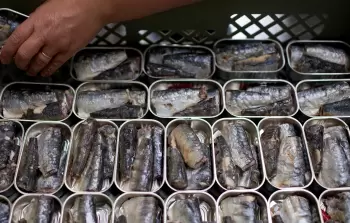 سكان غزة يحولون علب السردين إلى 