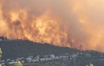 حرائق في (إسرائيل) (أرشيف)