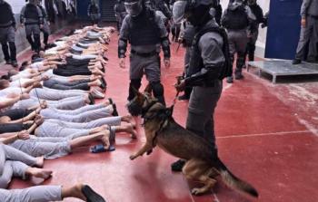 شهادات صادمة عن فظائع تعذيب معتقلي غزَّة في (النقب) و(عوفر)