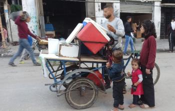 عربات البرّد.. صمود يتجول بين الرُّكام في شوارع غزَّة