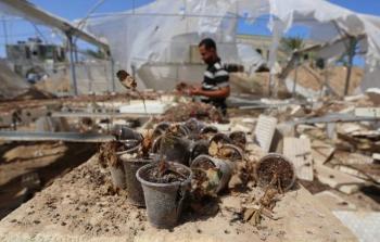 استشاري بيطري لـ