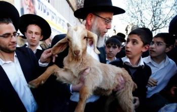 حماس تحذِّر من دعوات المستوطنين لذبح القرابين داخل باحات المسجد الأقصى