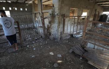 مزرعة للمواشي تعرضت للتدمير جرّاء القصف 