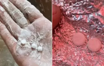 مساعدات مسمومة... غزَّة تكتشف مؤامرةً جديدةً عبر أكياس الدَّقيق