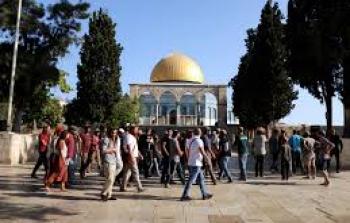 مستوطنون يقتحمون باحات المسجد الأقصى