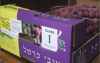 منتجاتٌ غذائيّةٌ عربيّةٌ تتدفق لـ 