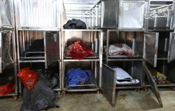 حرب الإبادة المتواصلة على غزة أسفر عن  أسفرت عن استشهاد وإصابة أكثر من 230 ألف مواطن