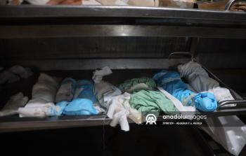 أجنة تموت في الأرحام… بأرقامٍ صادمة: غزة تواجه فصلاً جديداً من المأساة الإنسانية