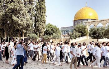 عشرات المستوطنين يقتحمون المسجد الأقصى بشكل يومي تحت حماية قوات الاحتلال