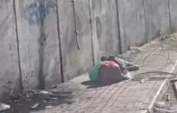 شهيد برصاص الاحتلال شمال القدس المحتلة