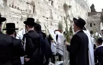 مستوطنون يؤدون طقوسًا تلمودية في المسجد الأقصى
