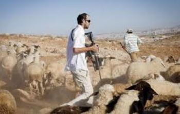 تصاعد اعتداءات المستوطنين في الضفة والقدس