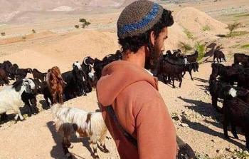 التجمعات البدوية شرقي وشمال القدس المحتلة يهددها خطر الإزالة ما ينذر بكارثة إنسانية