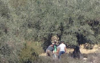 صورة أرشيفية من هجمات المستوطنين على أراضي الضفة الغربية