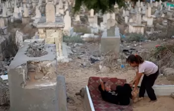 صورة أرشيفية