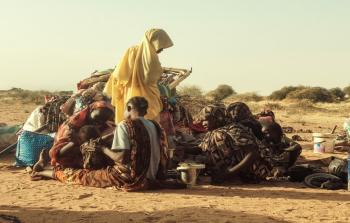 الفاشر ... سودانيون محاصرون يأكلون جلود الأبقار للبقاء على قيد الحياة