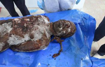 صورة جثامين الأسرى التي حرّرت بدى عليها آثار التعذيب الهمجي والإعدام الميداني