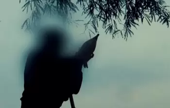 صورة تعبيرية