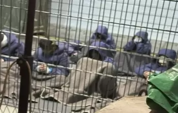 أوضاع قاسية يعيشها الأسرى في سجون الاحتلال