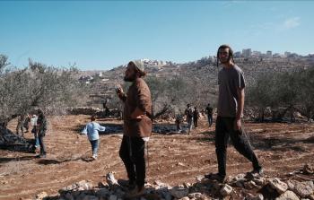 مستوطنون استولوا على محصول الزيتون الذي تم حصاده في منطقة واد سالم