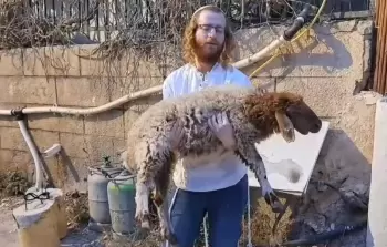 صورة أرشيفية من محاولة مستوطن إدخال قربان إلى المسجد الأقصى