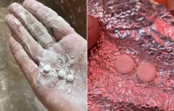 صورة من الأرشيف