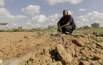 مزارعو غزة لا يمكنهم الوصول لنحو 78% من الأراضي الزراعية