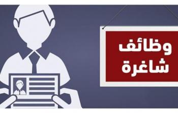 وظائف شاغرة في الهيئة الطبية الدولية