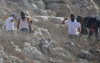 هجمات المستوطنين تشكل تهديدًا مباشرًا لاستقرار الفلسطينيين ووجودهم في أراضيهم