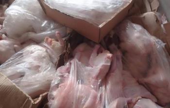 صورة من الأرشيف