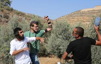 مستوطنون يعتدون على قاطفي زيتون قرب الخليل