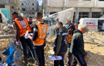 صورة أرشفية