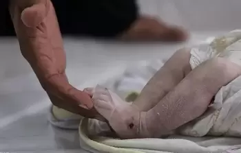 صورة من الأرشيف