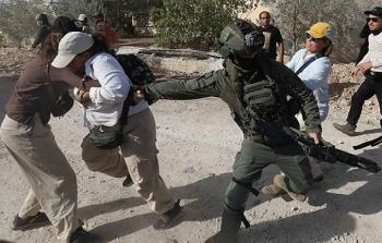 الخليل شهدت 348 اعتداء للمستوطنين خلال شهر نوفمبر الماضي