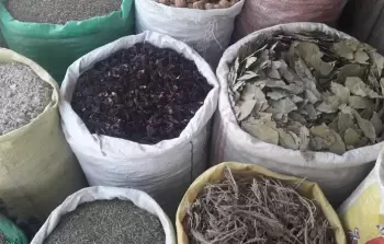 الأعشاب بديل أهالي غزة لتجاوز منع إدخال الاحتلال للأدوية