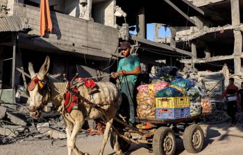 55 ألف مزارع في غزة فقدوا مصادر دخلهم بفعل تدمير الاحتلال 187 ألف دونم