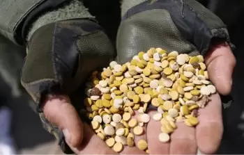 قوات الاحتلال تستخدم طرقا وأساليب متنوعة لتهريب المخدرات إلى قطاع غزة