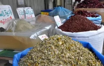 نقص الأدوية في غزة يدفع السكان إلى الأعشاب الطبية كحل بديل