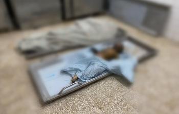 صورة من الأرشيف