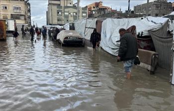 صورة من الأرشيف