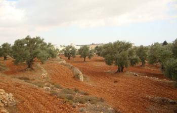 الأراضي المُستهدفة في كفر مالك (تصوير: وكالات)