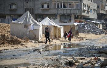 صورة من الأرشيف