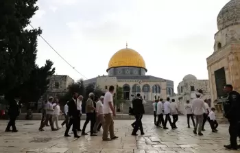 صورة من الأرشيف