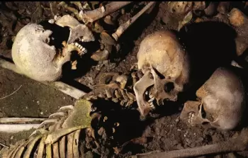 سرقة رفات وجماجم… تفاصيل واحدة من أخطر الجرائم الأميركية