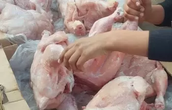 اعتماد شهادات صحية موثوقة من بلد المنشأ يعتبر  خط الدفاع الأول لمنع دخول أي منتجات ملوثة