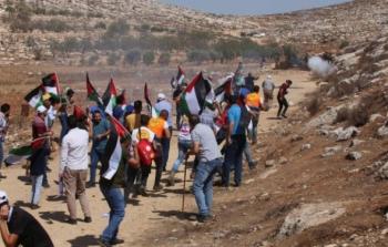 المستوطنون نفذوا 621 اعتداء بالضفة الغربية ضد الفلسطينيين وممتلكاتهم في نوفمبر الماضي