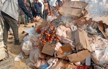 وزارة الاقتصاد تتلف 2.2 طن من الدجاج الفاسد في خانيونس