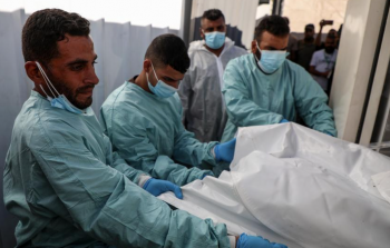 صورة من الأرشيف