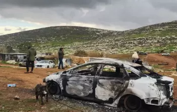 صورة من الأرشيف